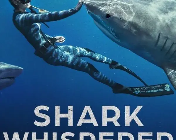 Hajhviskeren – Netflix